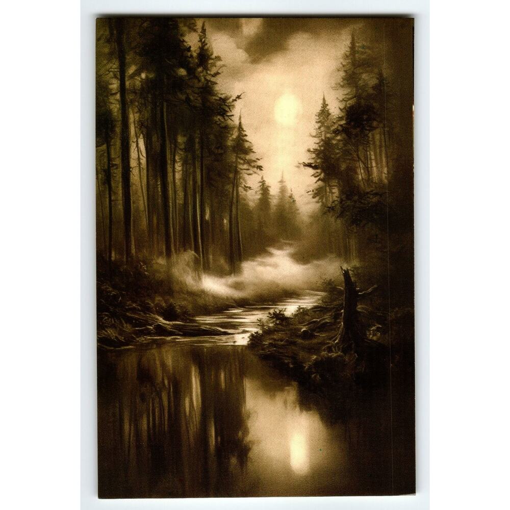Vintage Photochrome Postcard Mystical Forest Stream 5.5x4 Paper